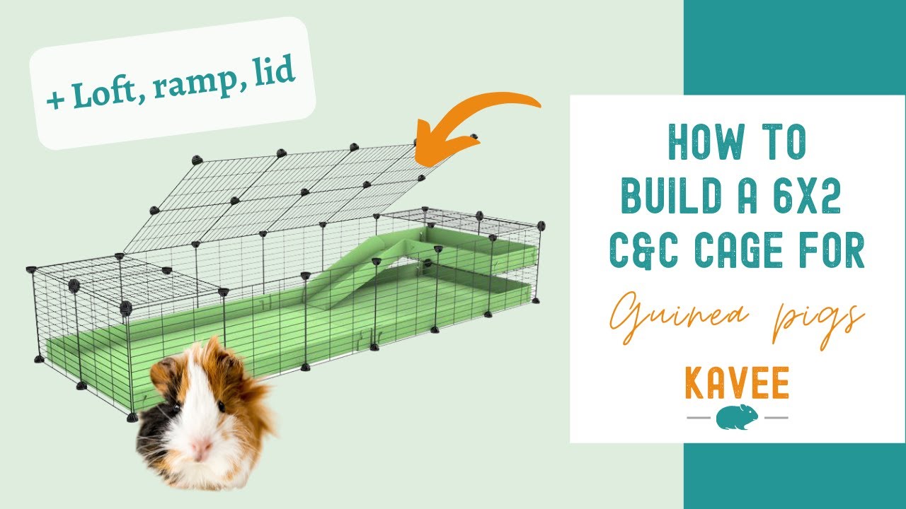 How to Build a 6x2 C&C Cage with a Loft, Lid, and Ramp