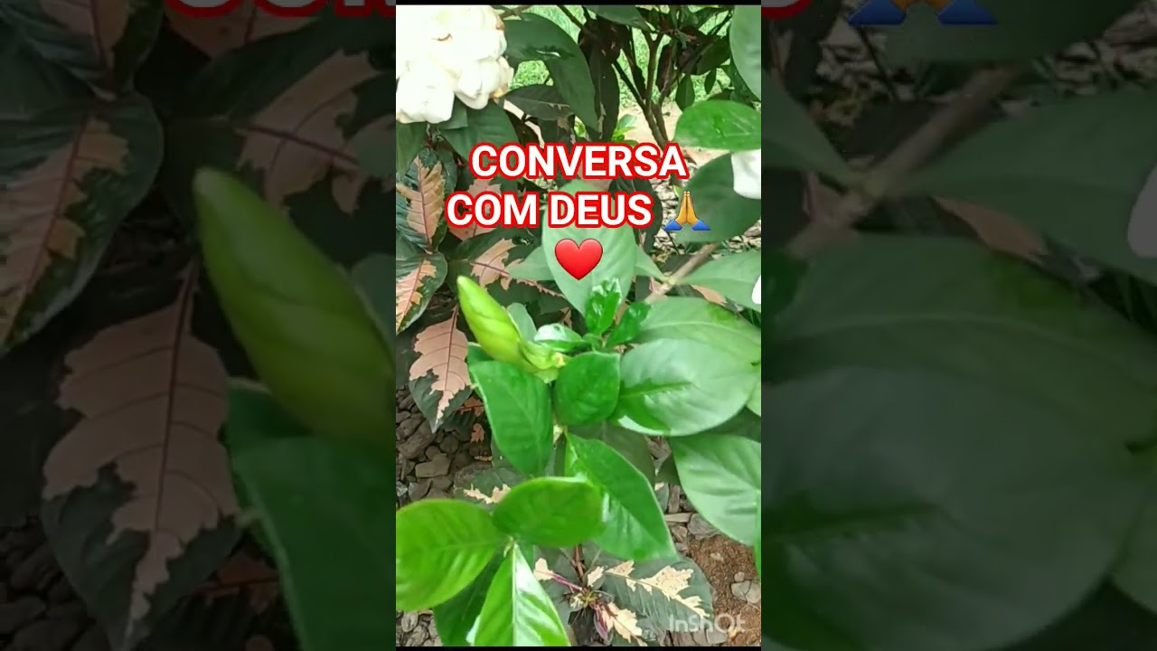 conversa com Deus🙏 