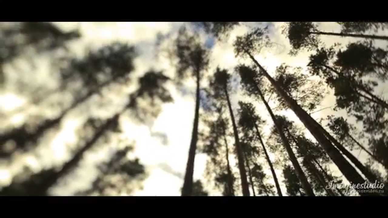 Ostap & Daria. Lovestory. Magic forest.
