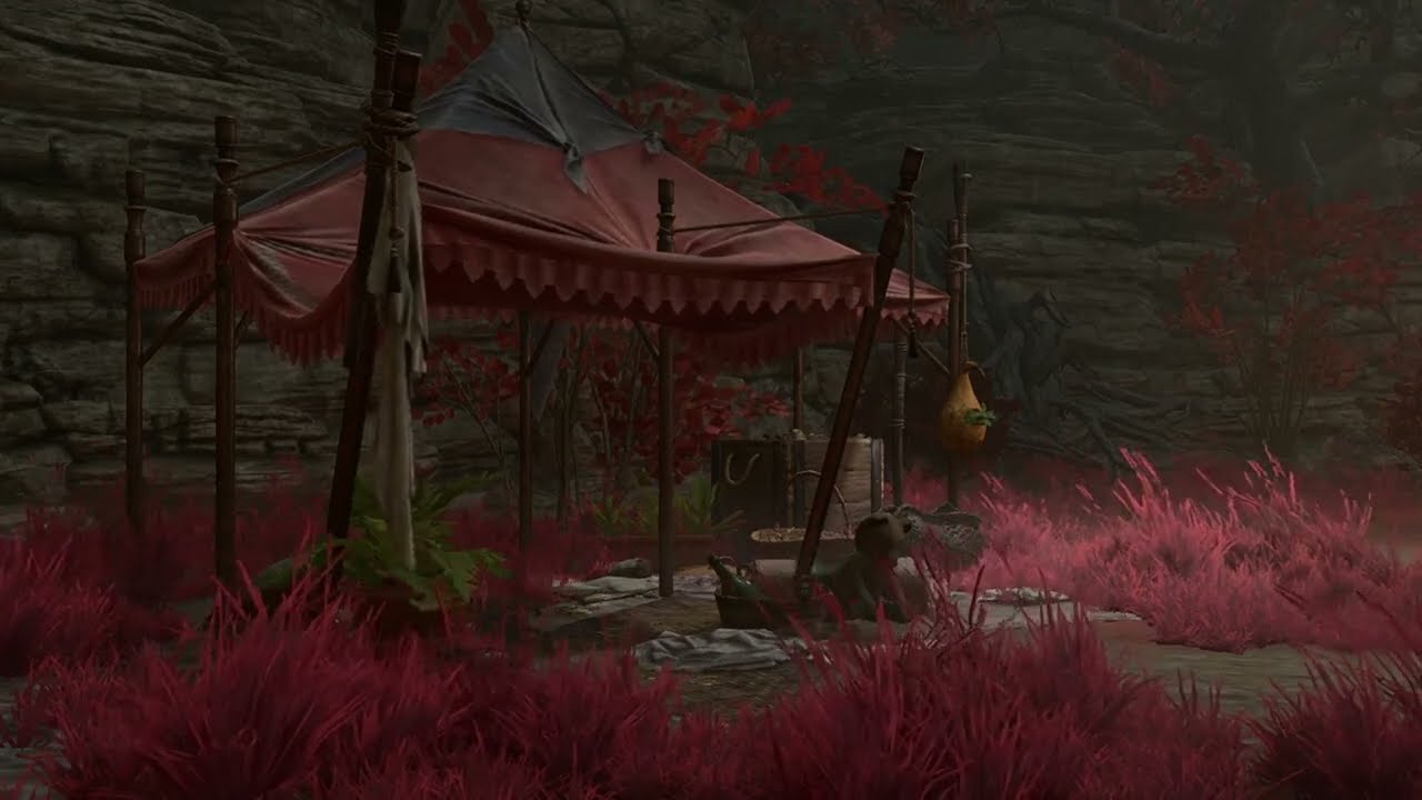 Shadow-Cursed Lands Camp Ambience, Cause Nobody Else Was Fkn Doin It  ||  No Music