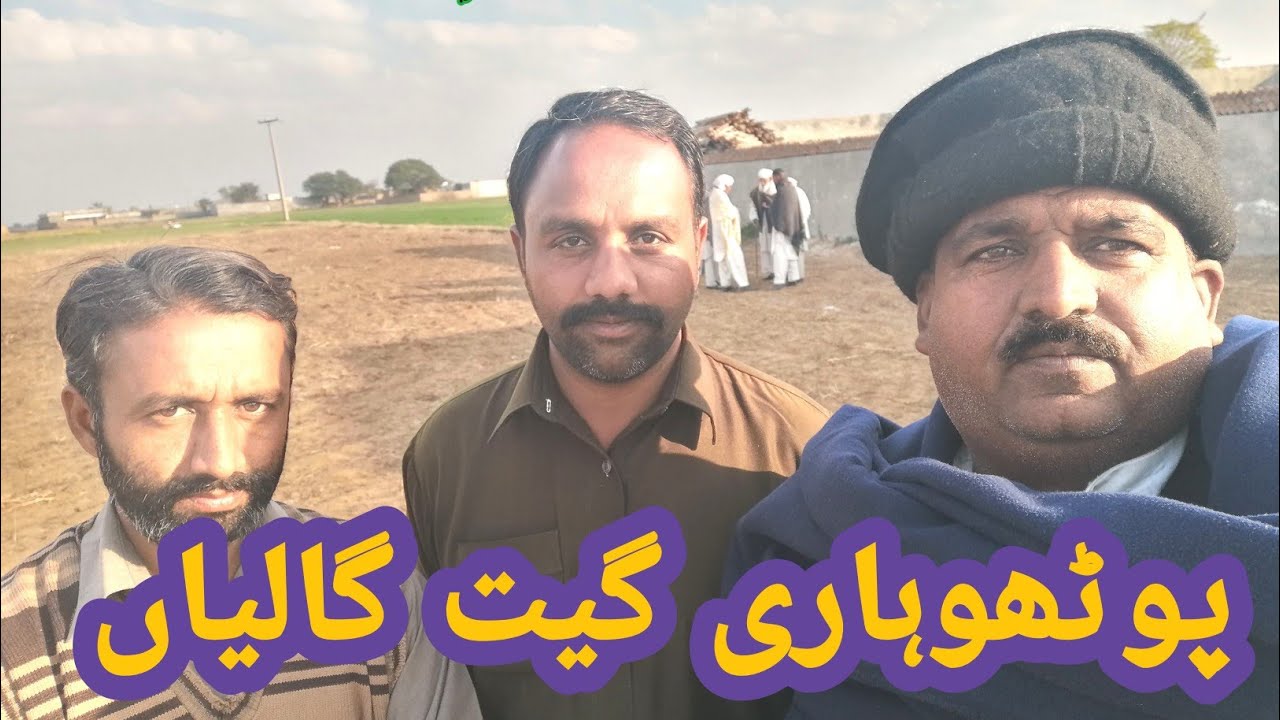 پوٹھوہاری گیت گالیاں
