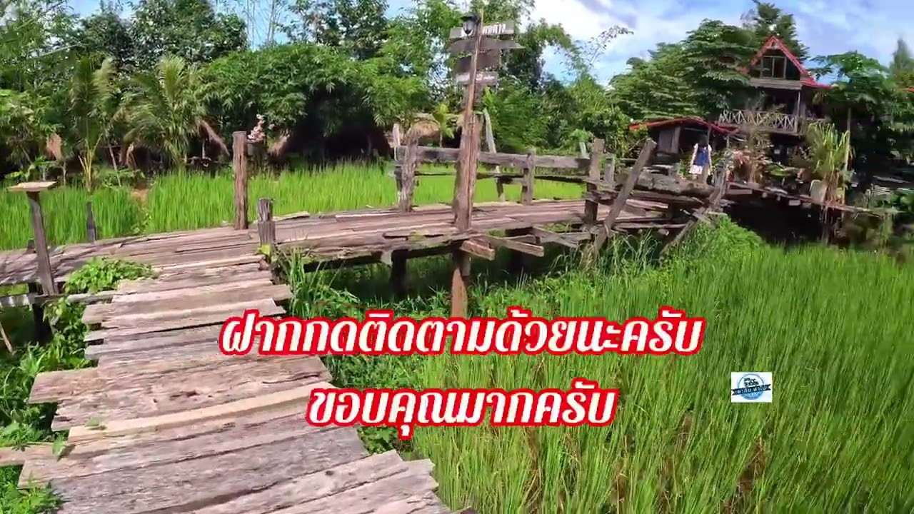 คอนสารโฮมสเตย์ โฮมสเตย์อีสานบ้านนาห้องนอนกระท่อมไม้หมากพร้อมวิวเขาวิวหลักล้านสวยมาก🥰#เปิดการมองเห็น 