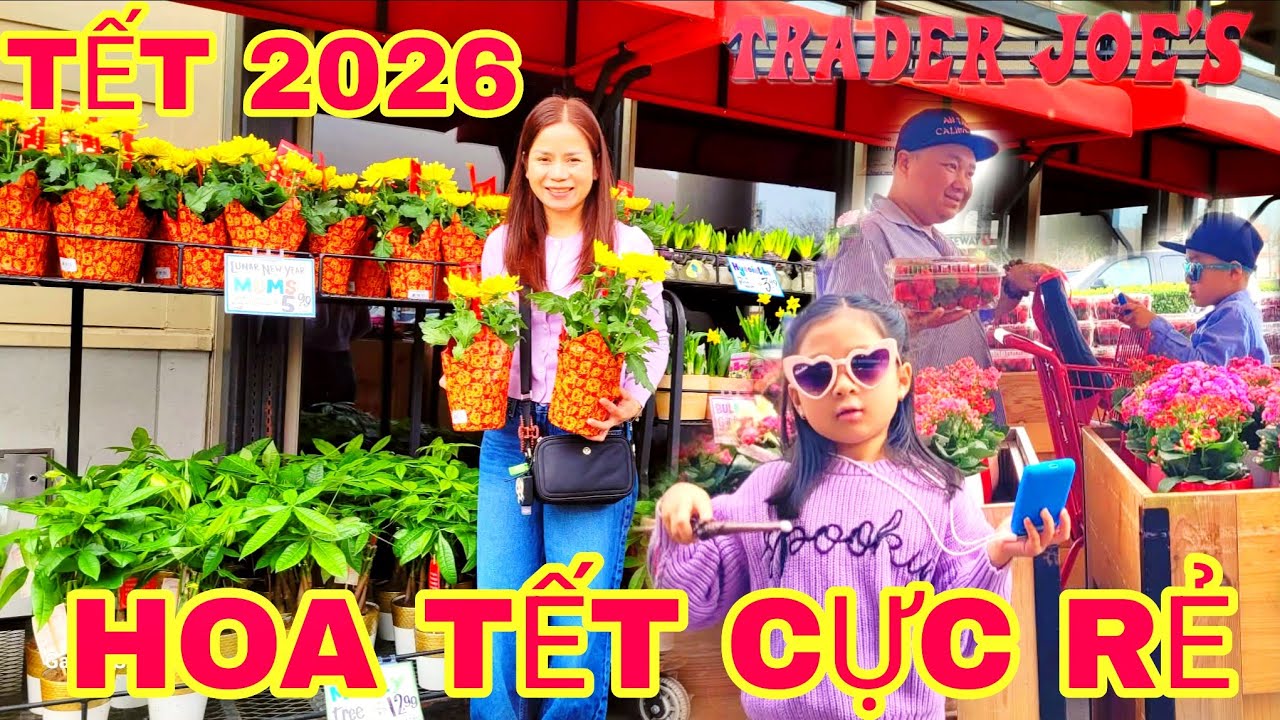 Tết 2026: Đi Trader Joe's Alameda tìm Nụ tầm xuân & Đồ ăn Organic rực rỡ ✨