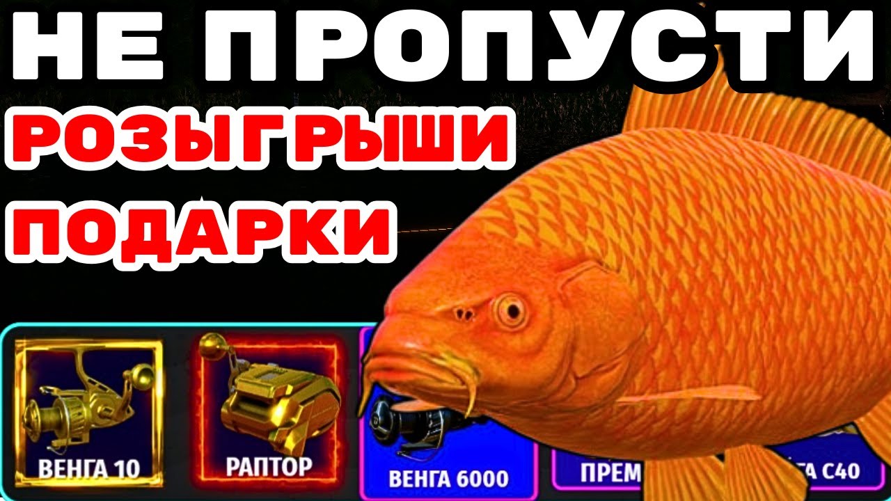 💥НЕ ПРОПУСТИ РОЗЫГРЫШИ 💥 КАТУШКИ ЗОЛОТО ПРЕМЫ 🔴 РУЛЕТКИ КАЖДЫЕ 15 Минут 🎁 #СТРИМ #РР4