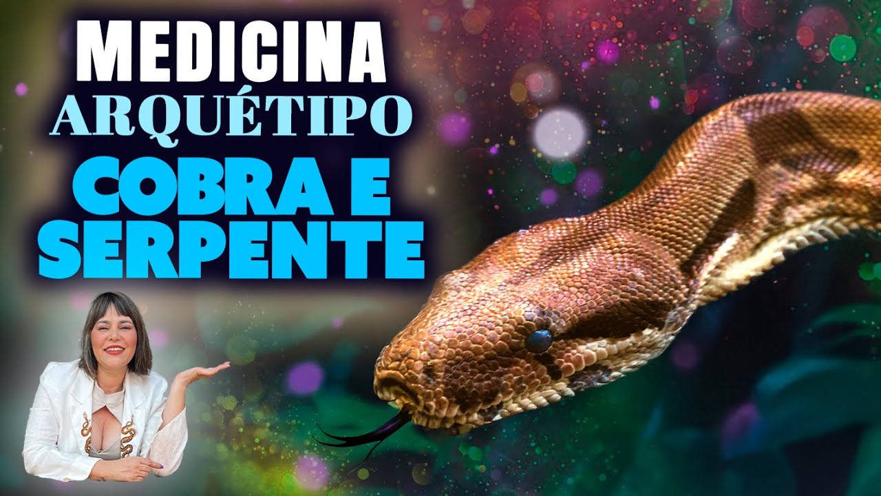 Medicina e meditação da Serpente/Cobra - Animal de Poder #serpente1