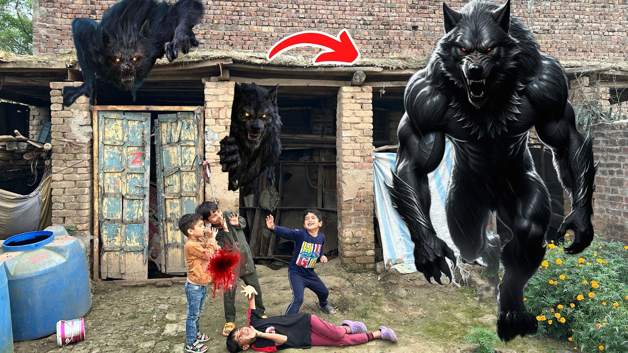 Black wolf attack in my pethouse😥.#blackwolf #wolfattack #petsvlogging 