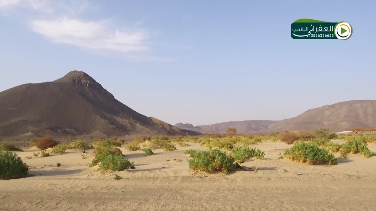 ضلع البقوم اللي يتغنون فيه الشعراء البر النظيف اللي يرد الروح مع اربع شيلات على ذوق العفراني