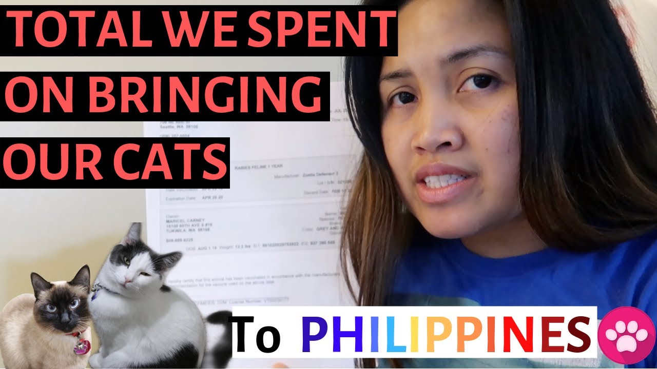 IMPORTING PETS FROM USA TO PHILIPPINES l Total expenses l Part 5