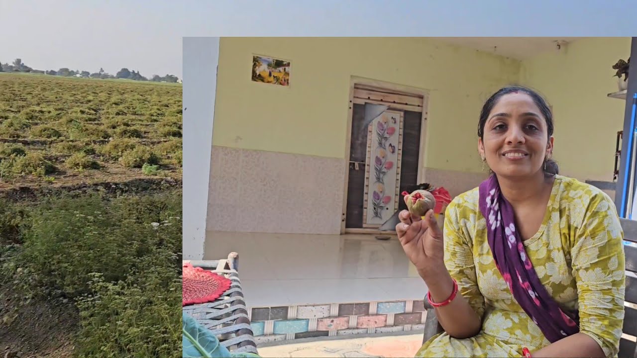 પેલી વાર અમારી વાડી ના પ્લાટ નું આ ક્યું ફળ 
