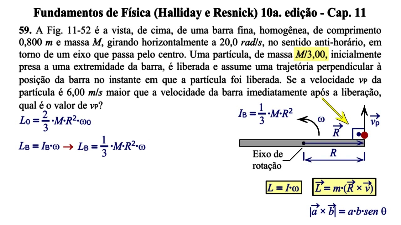 Aula 59 - Fundamentos de Física (Halliday e Resnick) 10a. Edição - Cap 11.