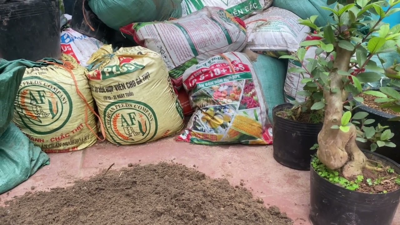 Làm giá thể trồng cây!