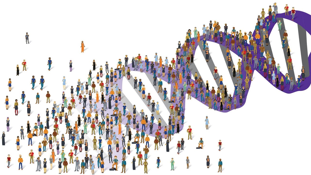 با دکتر مریم صدرایی DNA ساختار و عملکرد