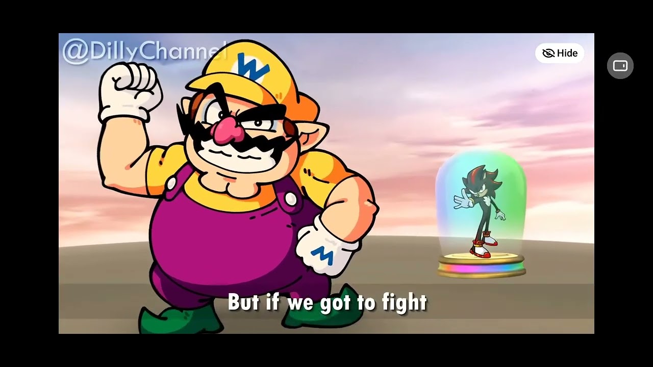 This was so close yet so far WARIO VS SHADOW THE HEDGEHOG RAP BATTLE (by dilly) BREAKDOWN