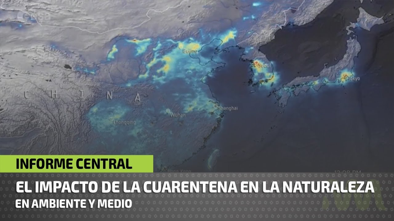 El impacto de la cuarentena en la naturaleza