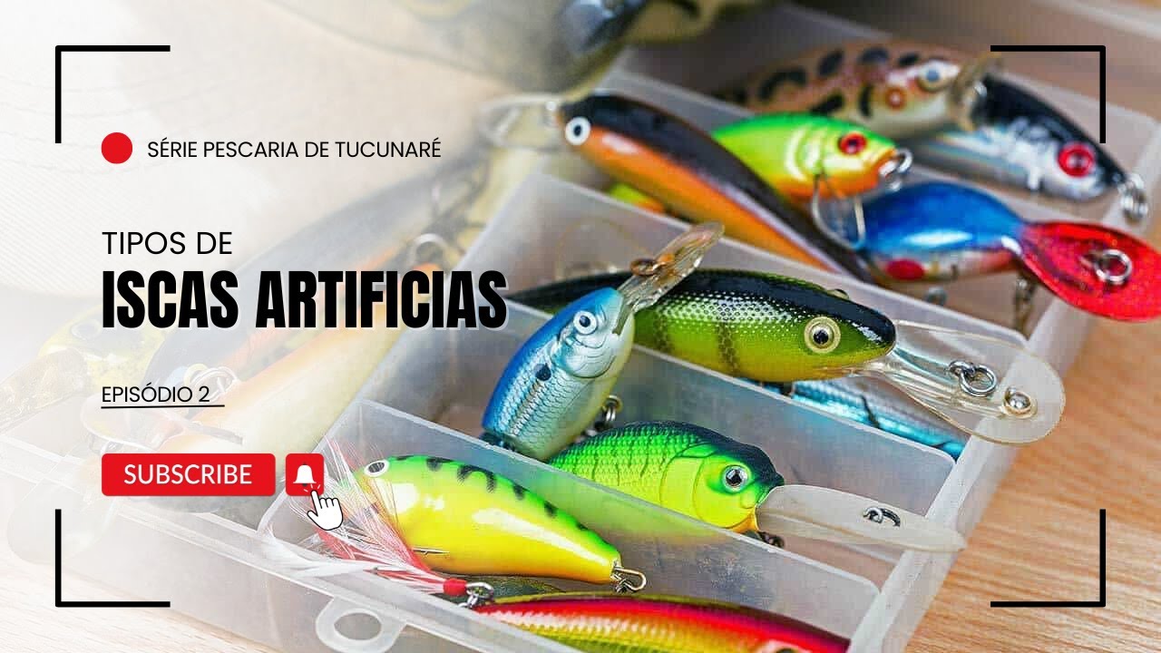 Tipos de isca artificiais - Série 