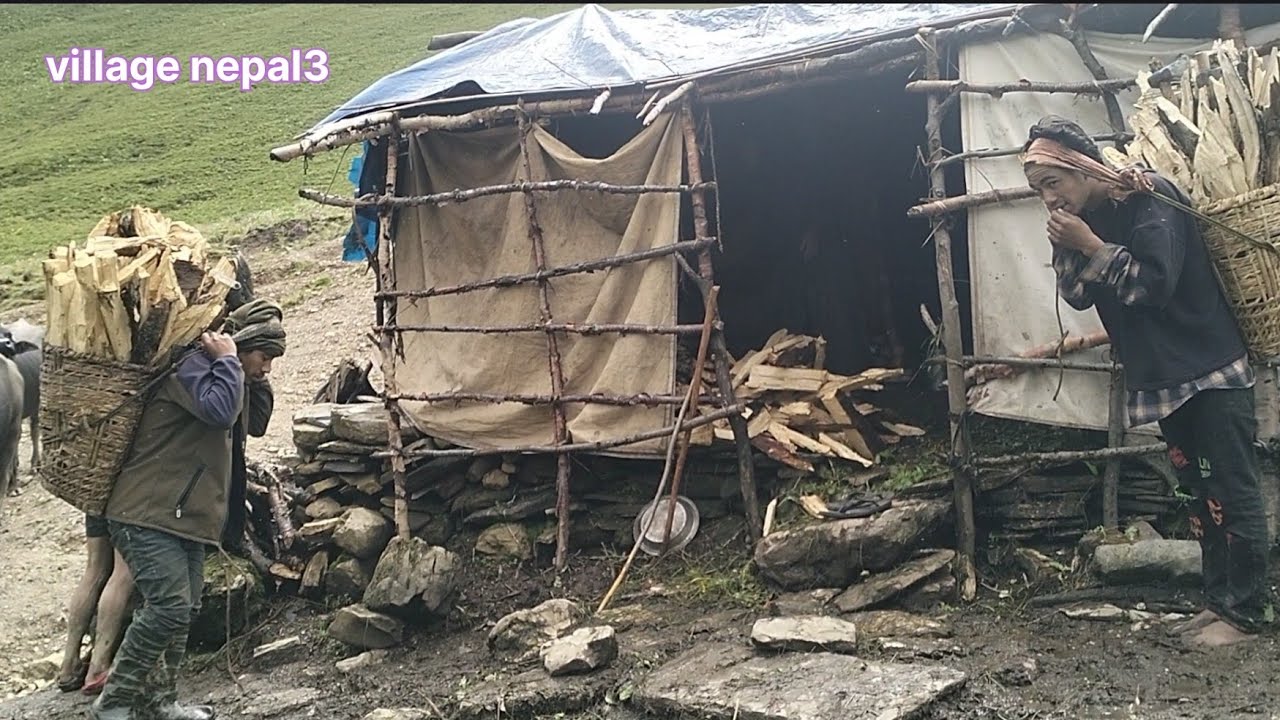 shepherd life is the most amazing and relaxing place of Nepal||monsoon season is a relaxing place.