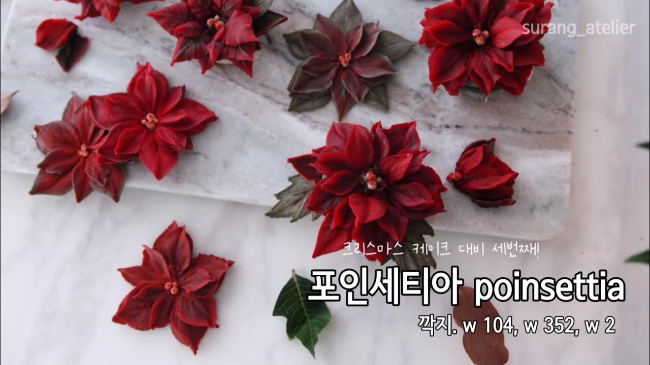 앙금플라워 포인세티아 짜기 poinsettia
