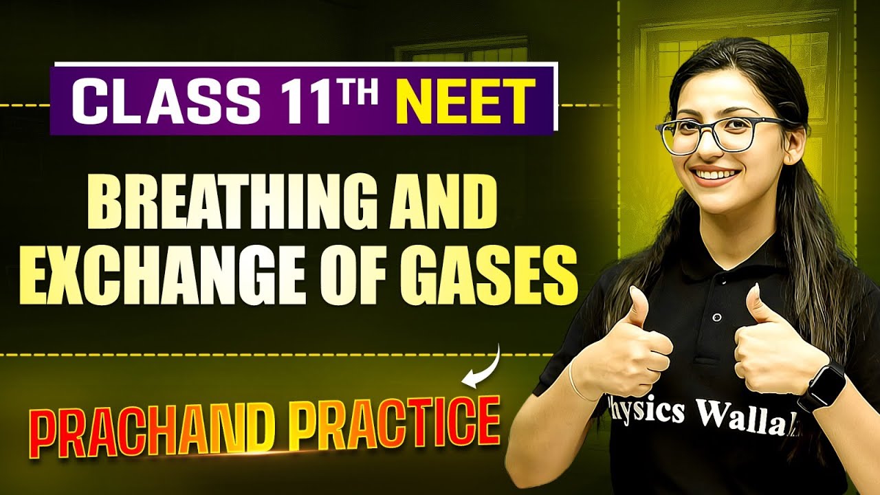 Breathing and Exchange of Gases  PYQ's Video Solution | PRACHAND Practice Series | NEET 2025