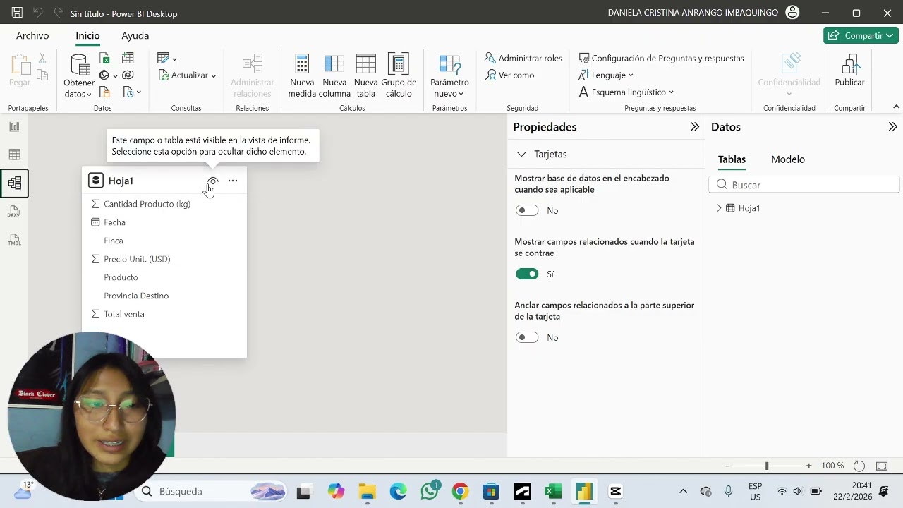 Explicacion de power BI