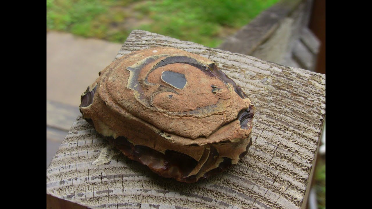 Lets See What's In It - Hart Mountain Jasper
