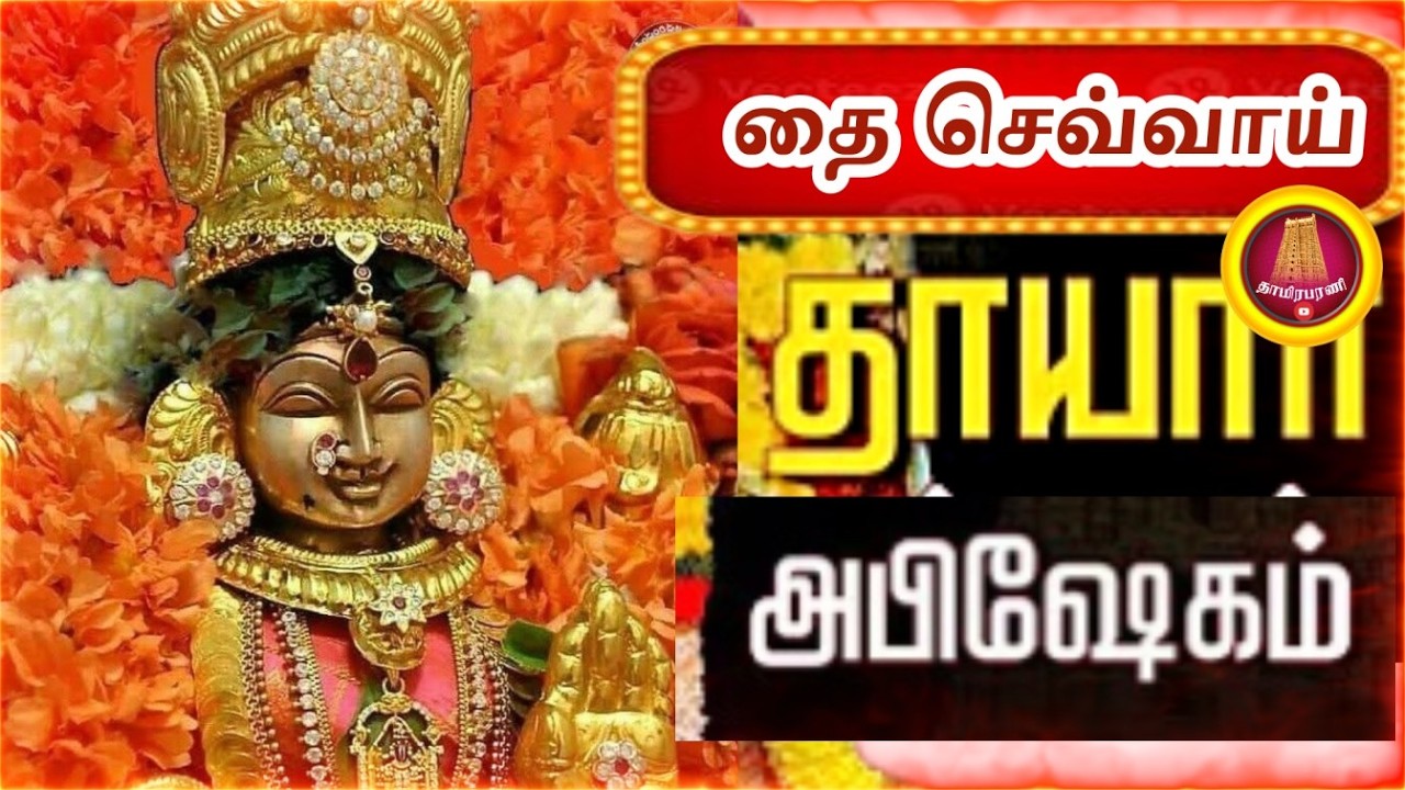மகாலக்ஷ்மி அபிஷேகம் | செல்வம் பெருக | Mahalakshmi POTRI|   Darshan OF MAHALAXMI