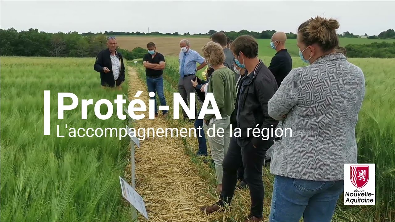 Protéi-NA : Vers une autonomie protéique en Nouvelle-Aquitaine ?