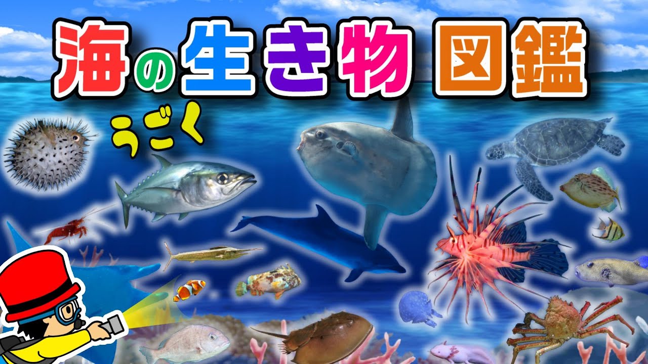 【子供が喜ぶ水族館】海の生き物 お魚さんたちが大集合！名前と特徴を動画で覚える生き物図鑑★イルカ・チンアナゴ・カニ・たこ・クラゲ★未就学児向け教育｜Fish【知育動画】sea animals