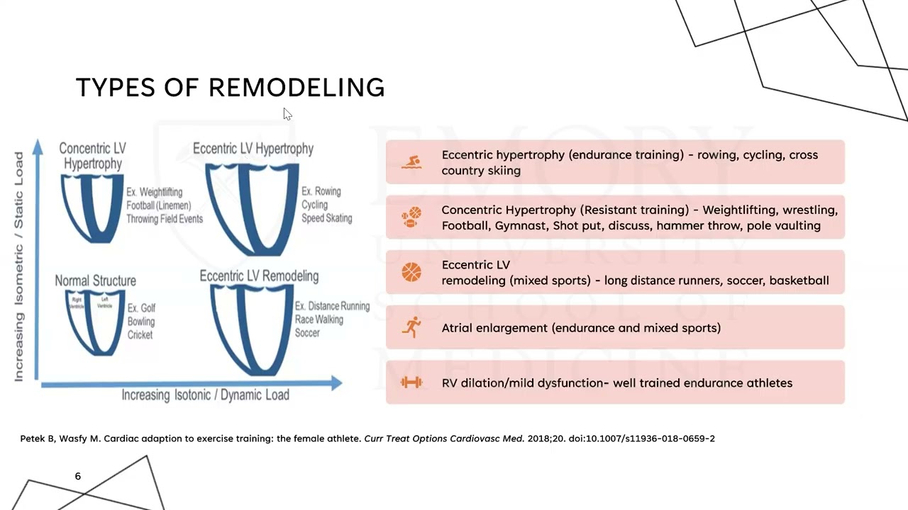 The Field of Sports Cardiology: A Generalist's Guide