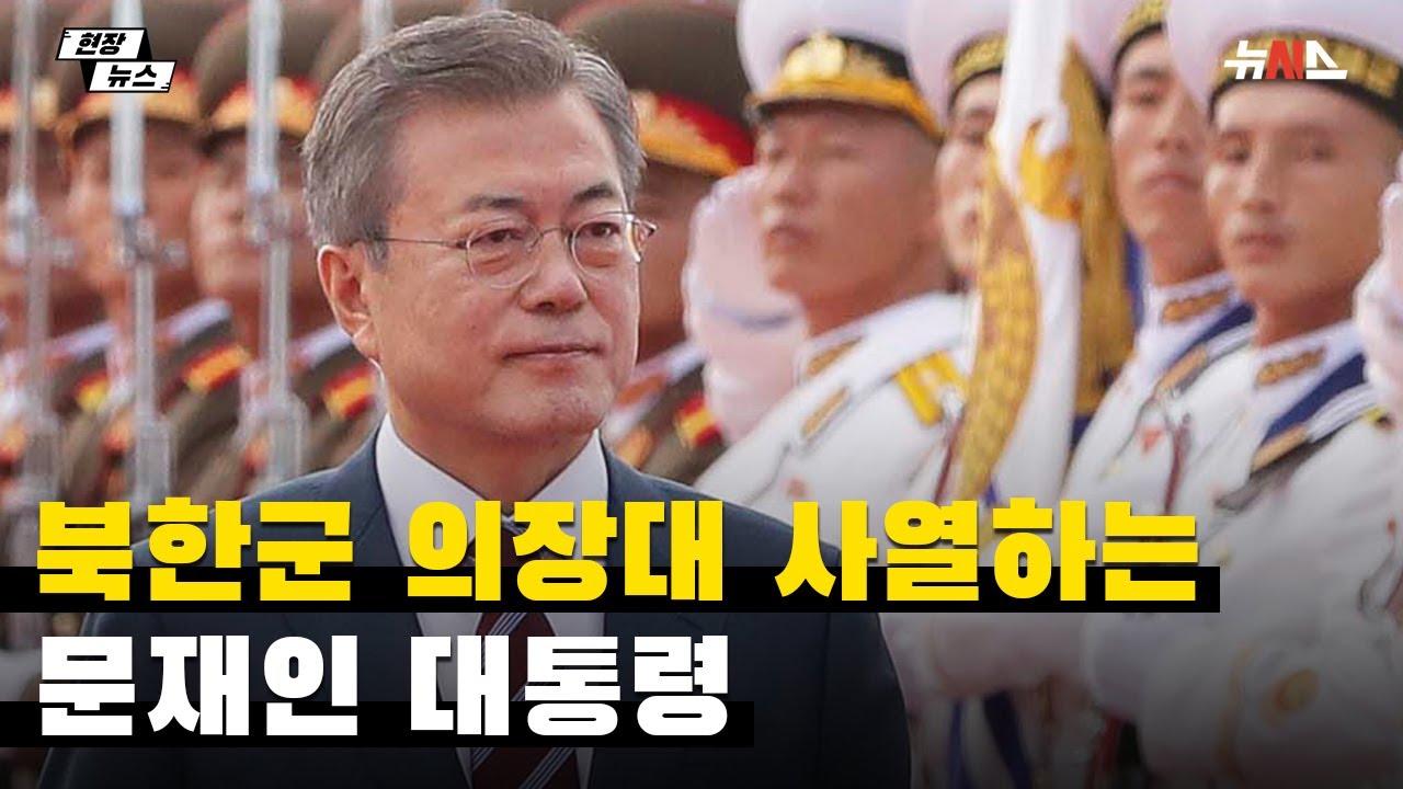 [풀영상]북한군 의장대 사열하는 문재인 대통령