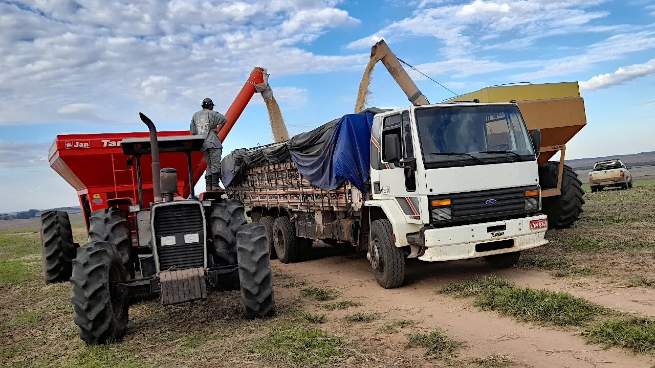 CARREGANDO SOJA DE FORD CARGO