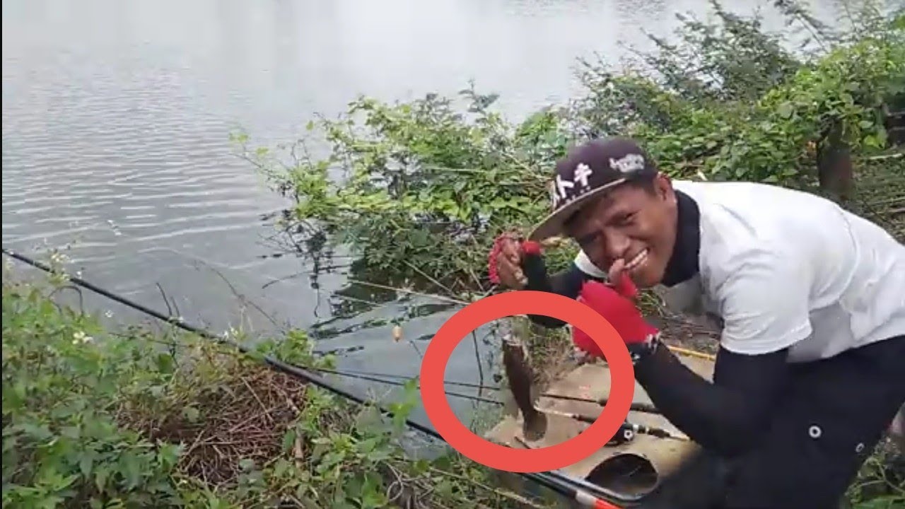 SPOT IDAMAN EMANG TIADA DUANYA#fishing