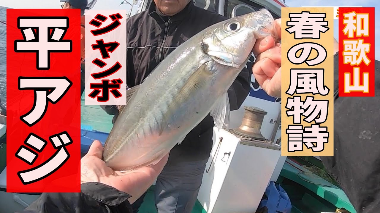 《和歌山・玉市丸》2023和歌山春の大アジ祭り開幕！2023 4 2大アジ