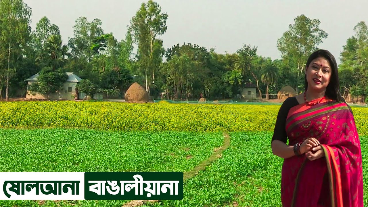 সিরাজগঞ্জের নওপা গ্রামে ষোলোআনা বাঙালিয়ানা || Panorama Documentary