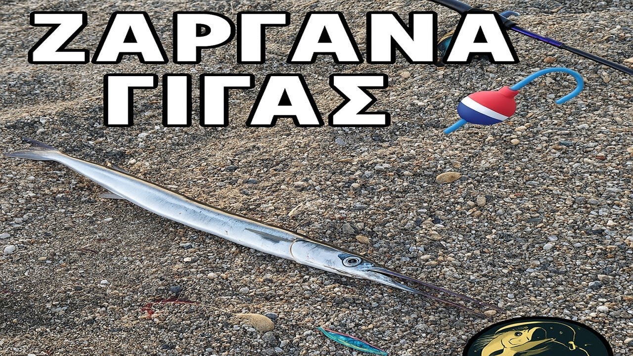 ΖΑΡΓΑΝΑ ΓΙΓΑΣ ΣΤΗΝ ΚΩ! | Spinning με απίστευτο φως 🎣
