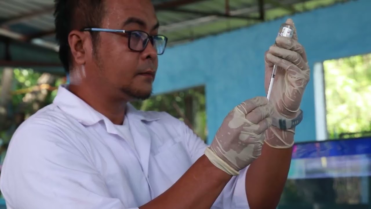 DA-BFAR Revives Native Fish Species Through Induced Breeding Technology