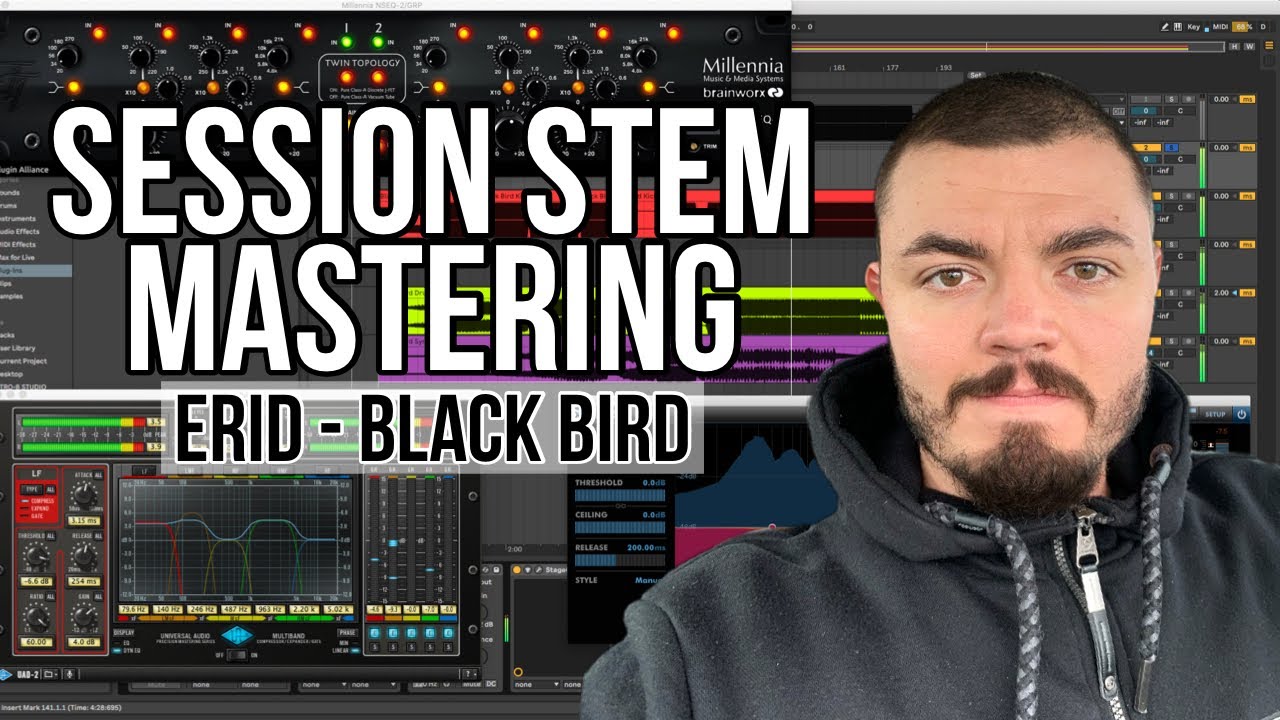 SESSION STEM MASTERING - ERID - Black Bird - TODESVOGEL RECORDS