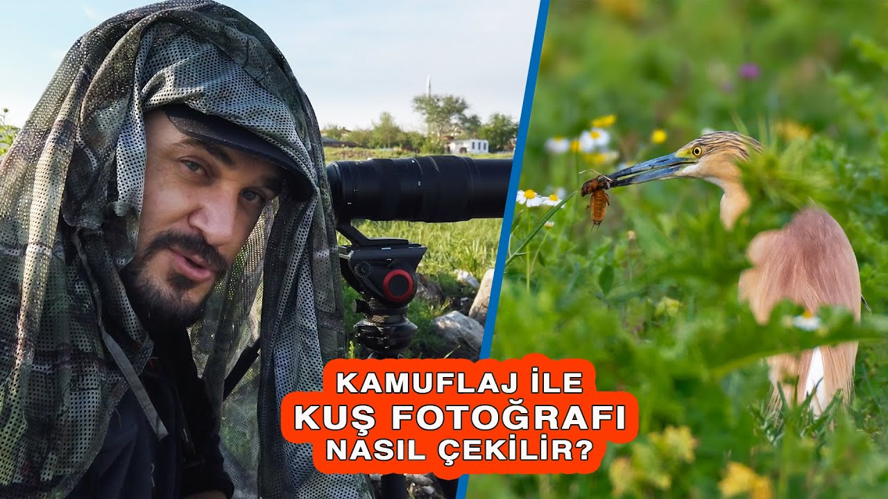 Kuş Fotoğrafı Nasıl Çekilir? | Taking a Bird Photo with the Nikon Z50