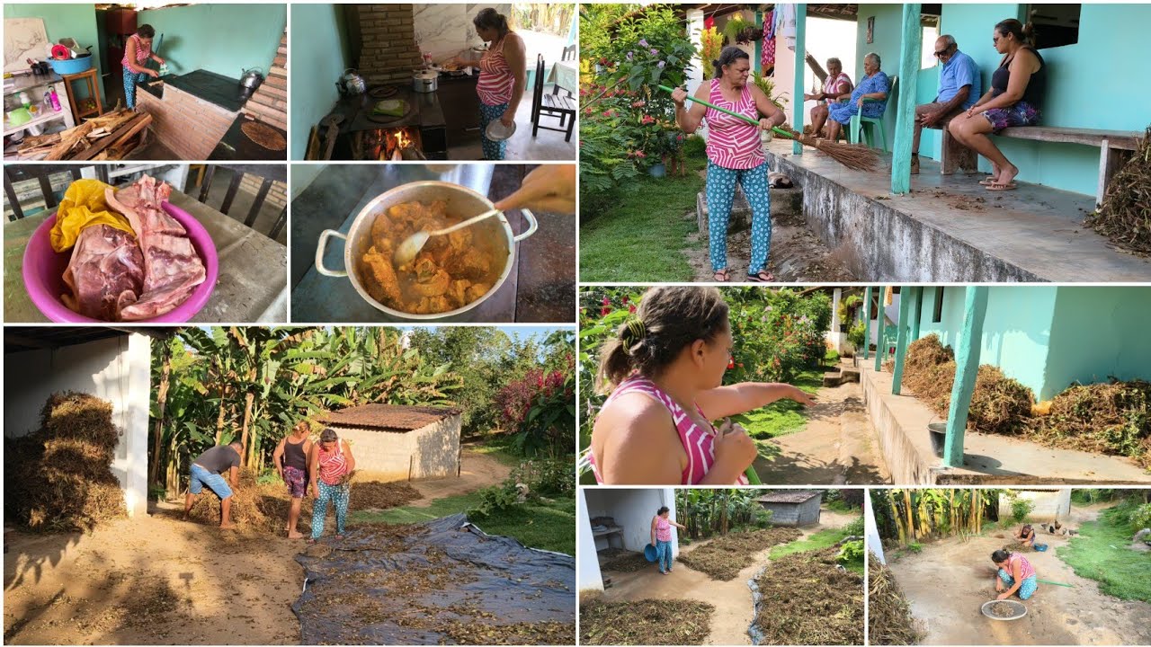 TRABALHAMOS COM ALEGRIA 😂 AJEITANDO A GRANDE CARRADA DE FEIJÃO 😱 CARNE DE PORCO PRO ALMOÇO, DELÍCIA😋
