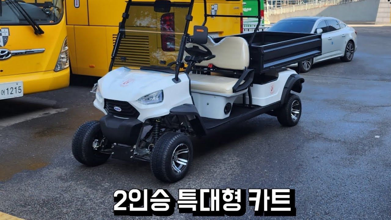 포르티스 2인승 특대적재함 골프카트 - 다목적운반차(GOLFCART)
