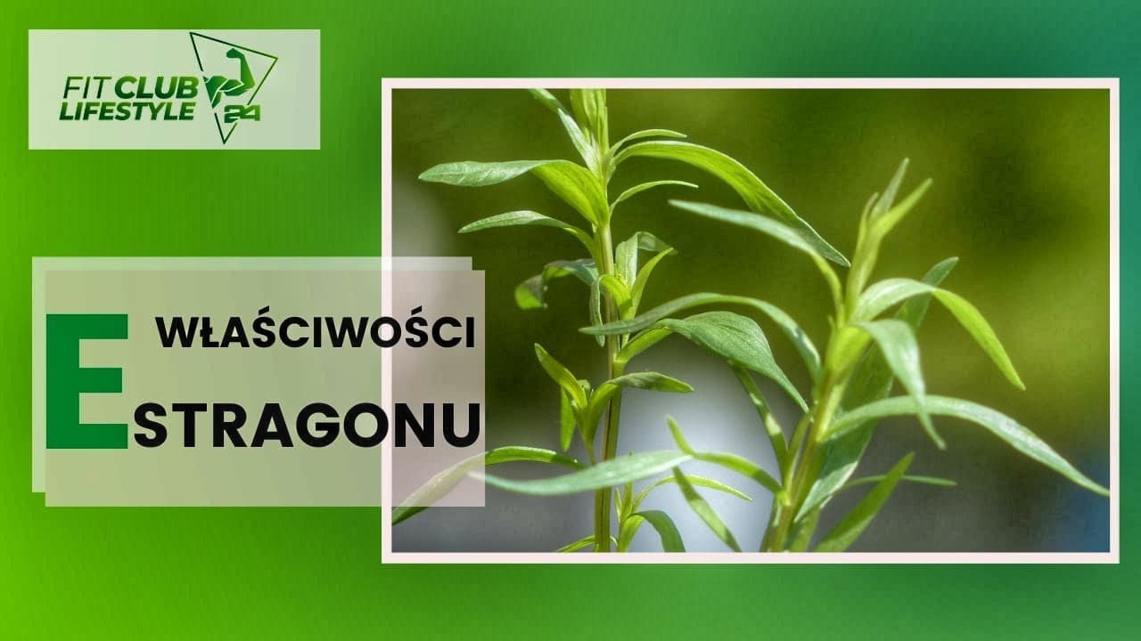 ESTRAGON - właściwości