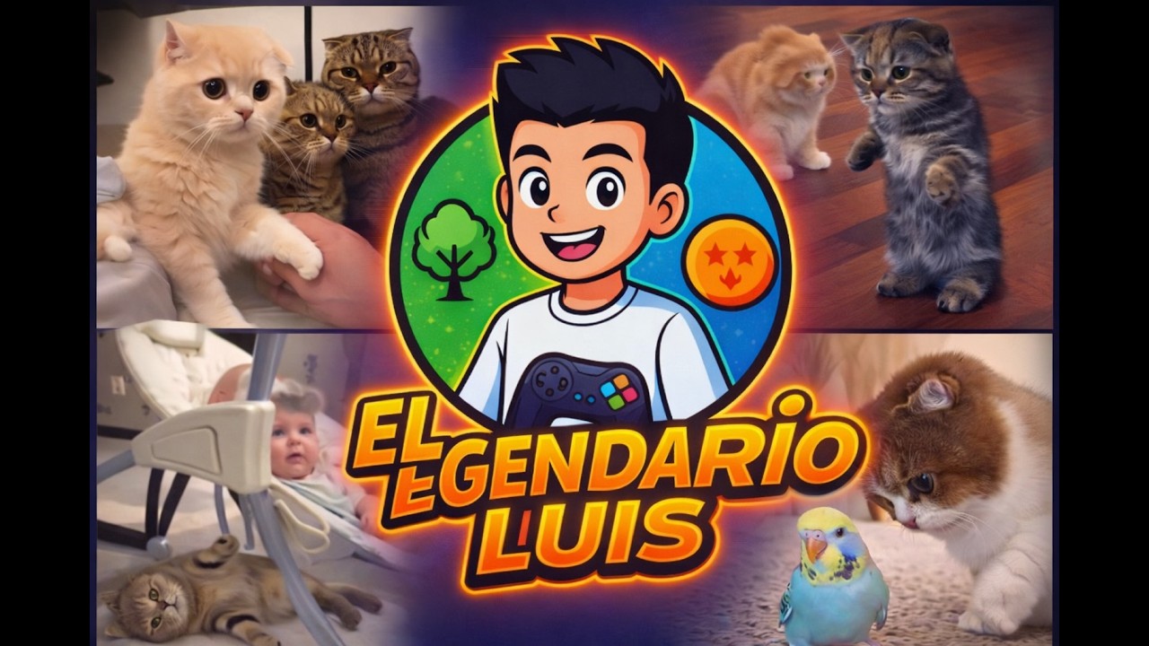 El legendario Luis y el universo de los gatos