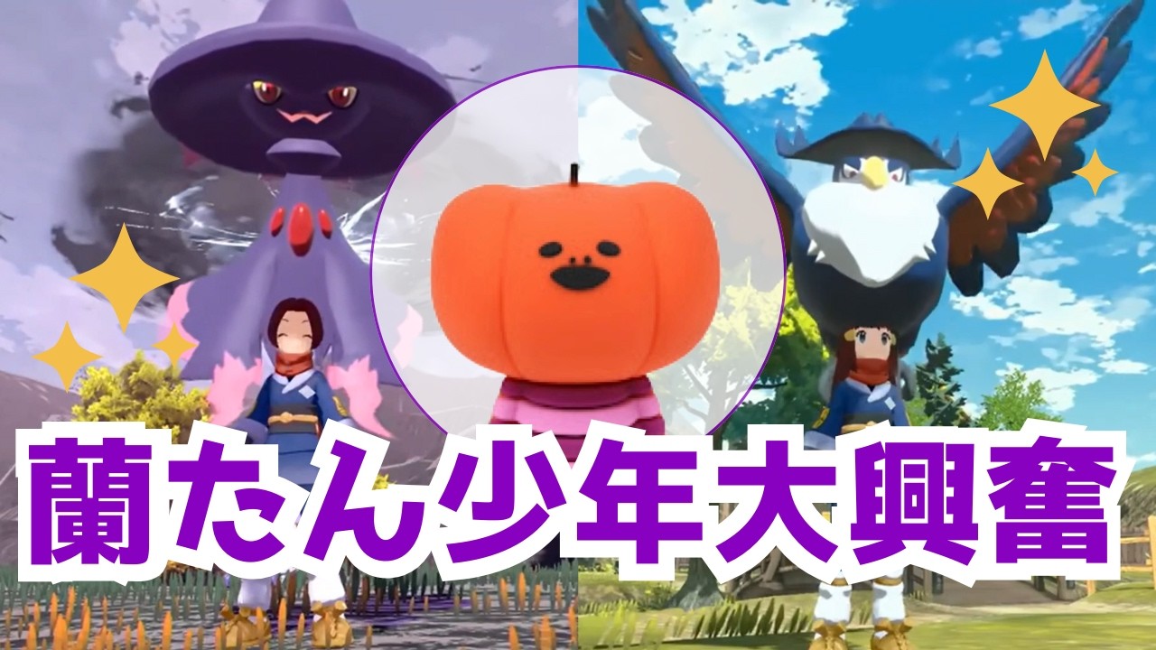 オヤブンに大興奮。荒ぶる蘭たんまとめ｜ポケモンLA【蘭たん切り抜き】