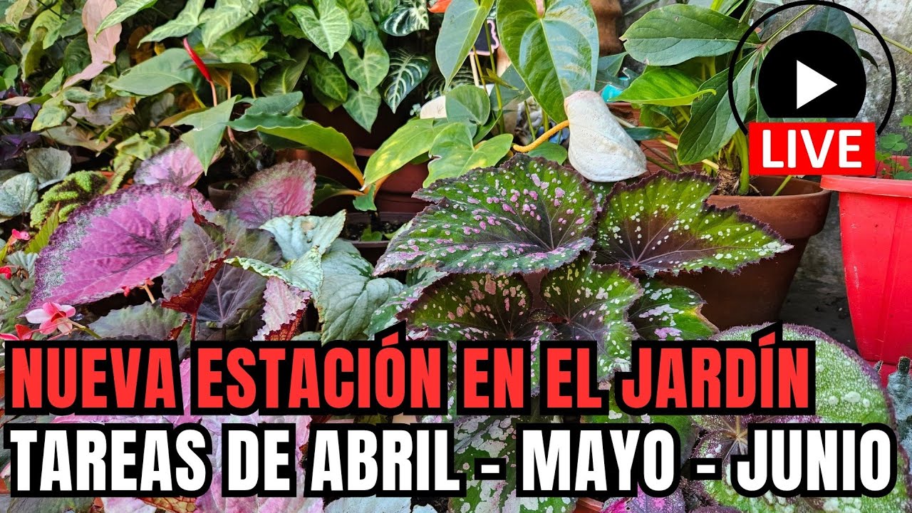 JARDÍN: Tareas de Abril, Mayo y Junio