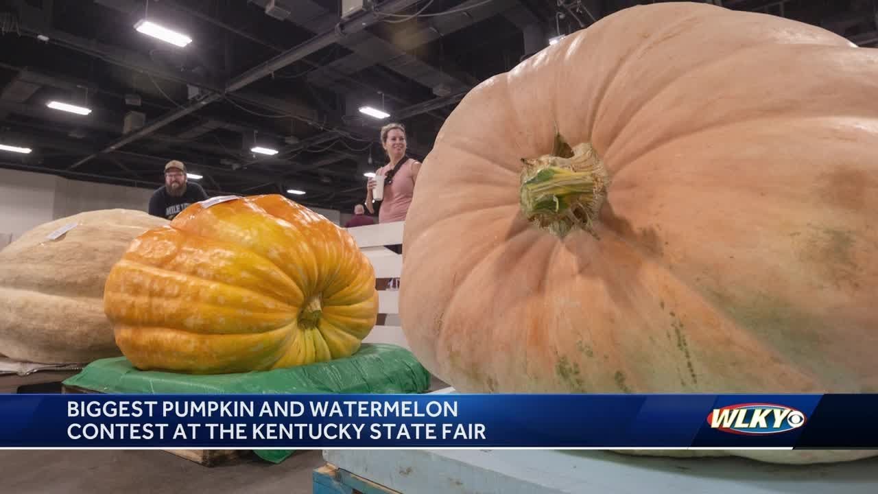 Biggest pumpkin and watermelon contest at Kentucky State Fair