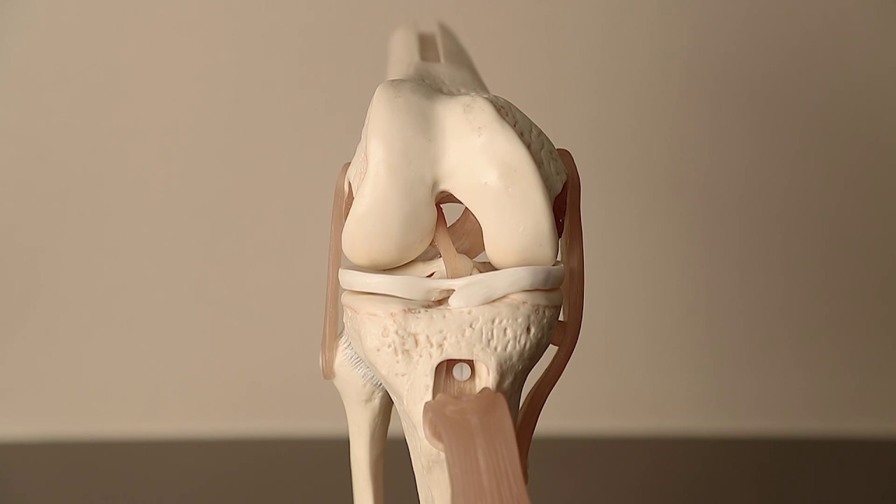 Regenerative Medicine  in Orthopedics & Sports Medicine