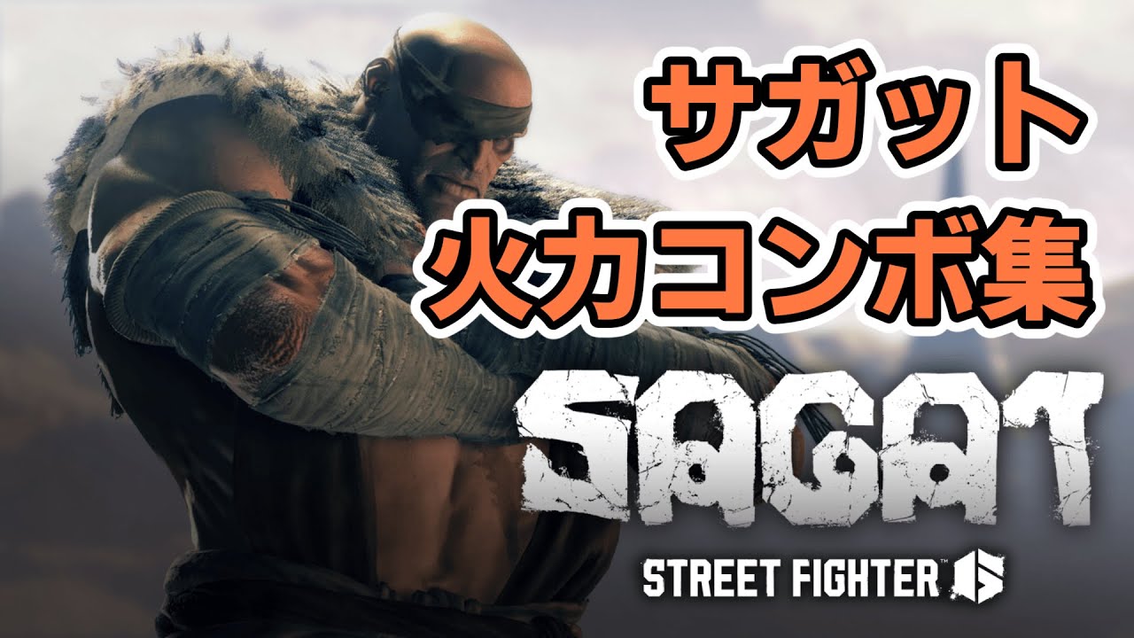 【スト6】サガット パニカン火力コンボ まとめ【一部コンボ更新あり】