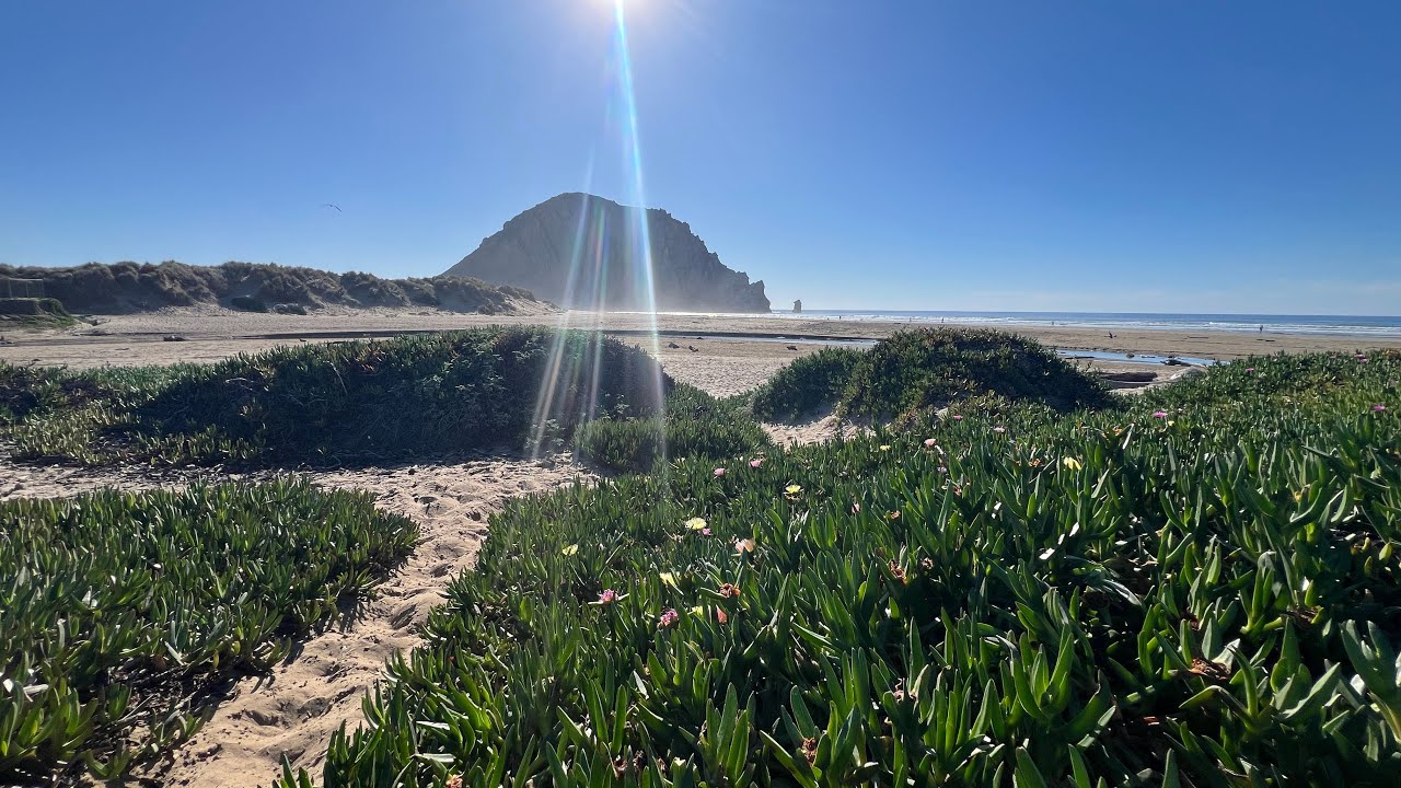 Beach day! #MorroBay #california #waves #surfers #blissfultranquility 