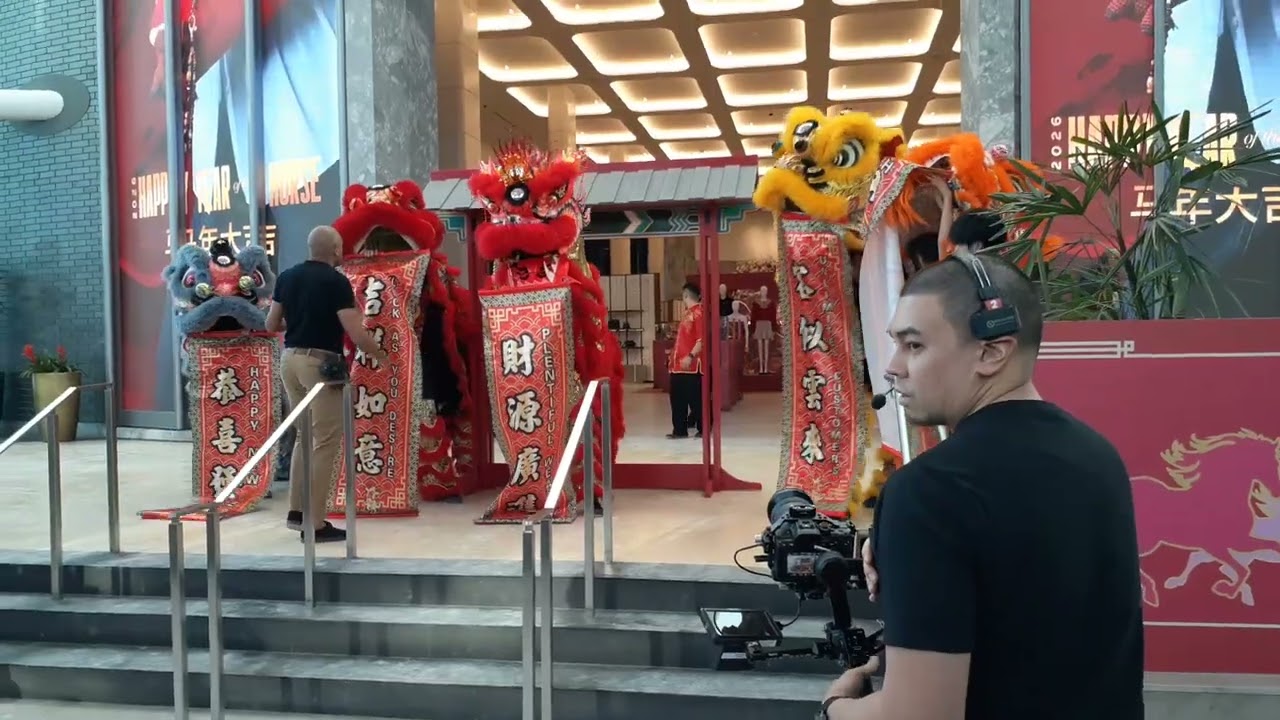 Practice with some Lion and Dragon on Lunar New Year at Square One Shopping Centre Mall