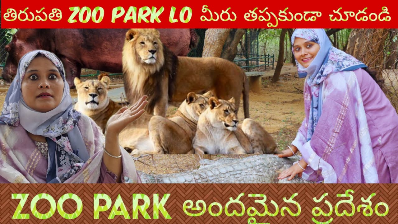 Zoo Park Vlog తిరుపతి Zoo ఒక్క అందమైన palace తప్పకుండా చూడండి @Mohsin Official 1m