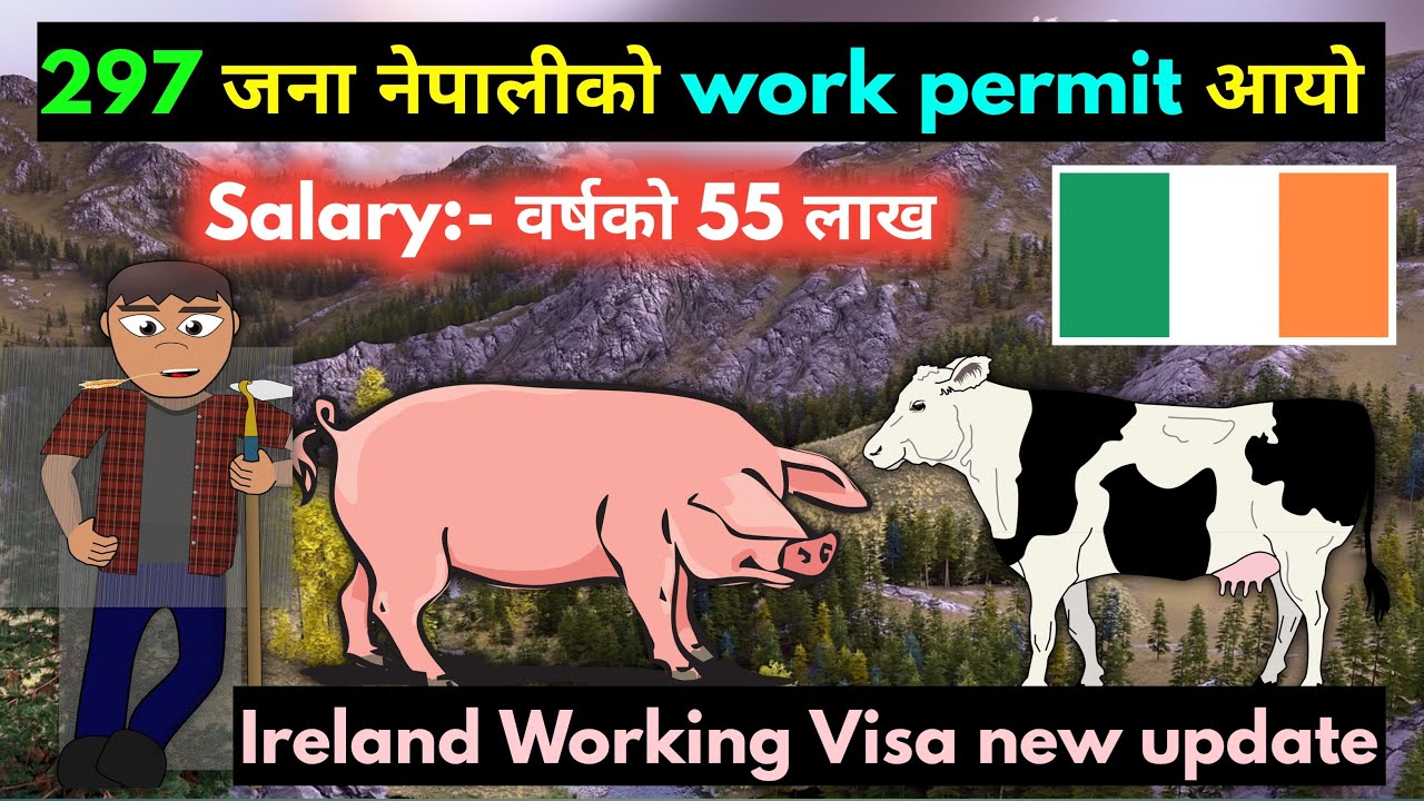 ireland working visa for nepali | how to apply ireland work visa from nepal | ireland kasari jane